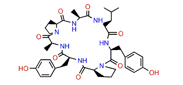 Fuscasin C